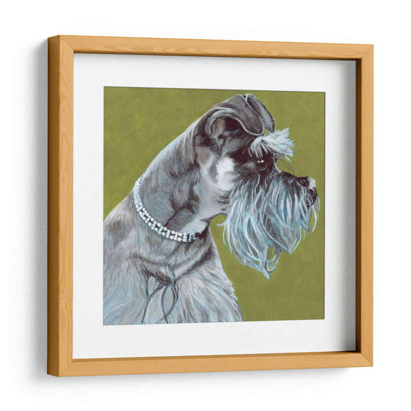 Dogs Dlynns - Zoee - Dylnn Roll | Cuadro decorativo de Canvas Lab