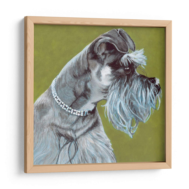 Dogs Dlynns - Zoee - Dylnn Roll | Cuadro decorativo de Canvas Lab