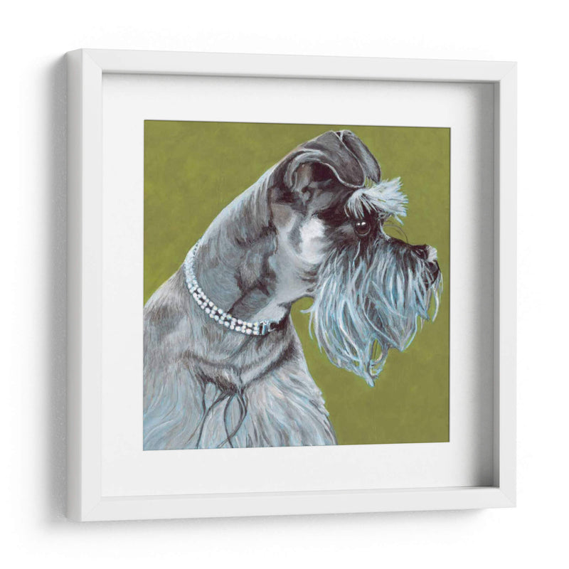 Dogs Dlynns - Zoee - Dylnn Roll | Cuadro decorativo de Canvas Lab