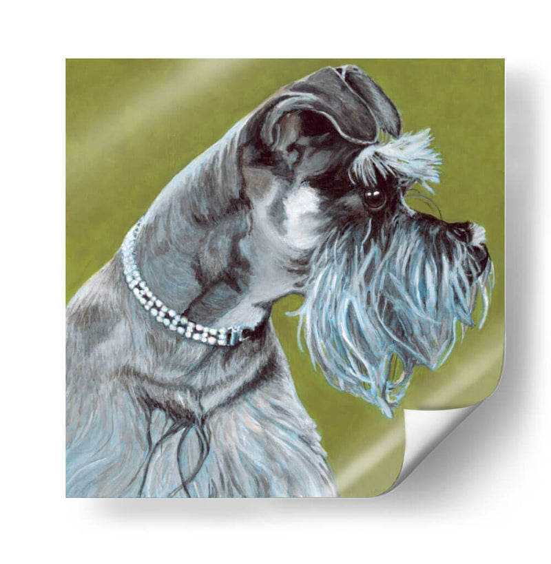 Dogs Dlynns - Zoee - Dylnn Roll | Cuadro decorativo de Canvas Lab