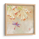 Libélula Lustre Ii - Evelia Designs | Cuadro decorativo de Canvas Lab