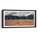 Árboles secos | Cuadro decorativo de Canvas Lab