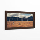Árboles secos | Cuadro decorativo de Canvas Lab