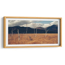 Árboles secos | Cuadro decorativo de Canvas Lab