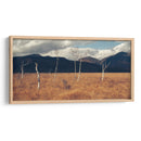 Árboles secos | Cuadro decorativo de Canvas Lab