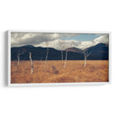 Árboles secos | Cuadro decorativo de Canvas Lab