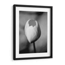 Retrato Floral I - Jeff Pica | Cuadro decorativo de Canvas Lab
