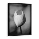 Retrato Floral I - Jeff Pica | Cuadro decorativo de Canvas Lab