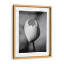 Retrato Floral I - Jeff Pica | Cuadro decorativo de Canvas Lab