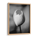 Retrato Floral I - Jeff Pica | Cuadro decorativo de Canvas Lab