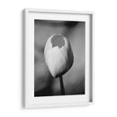 Retrato Floral I - Jeff Pica | Cuadro decorativo de Canvas Lab