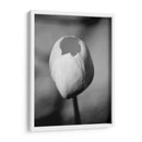 Retrato Floral I - Jeff Pica | Cuadro decorativo de Canvas Lab