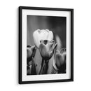 Retrato Floral Ii - Jeff Pica | Cuadro decorativo de Canvas Lab