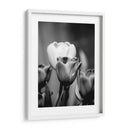 Retrato Floral Ii - Jeff Pica | Cuadro decorativo de Canvas Lab