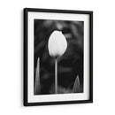 Retrato Floral Iii - Jeff Pica | Cuadro decorativo de Canvas Lab
