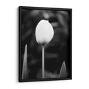 Retrato Floral Iii - Jeff Pica | Cuadro decorativo de Canvas Lab