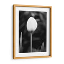 Retrato Floral Iii - Jeff Pica | Cuadro decorativo de Canvas Lab