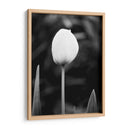 Retrato Floral Iii - Jeff Pica | Cuadro decorativo de Canvas Lab