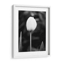 Retrato Floral Iii - Jeff Pica | Cuadro decorativo de Canvas Lab