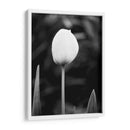 Retrato Floral Iii - Jeff Pica | Cuadro decorativo de Canvas Lab