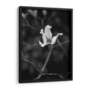 Retrato Floral V - Jeff Pica | Cuadro decorativo de Canvas Lab