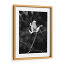 Retrato Floral V - Jeff Pica | Cuadro decorativo de Canvas Lab