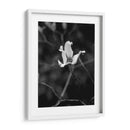 Retrato Floral V - Jeff Pica | Cuadro decorativo de Canvas Lab