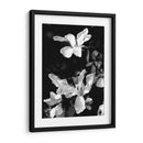Retrato Floral Vi - Jeff Pica | Cuadro decorativo de Canvas Lab