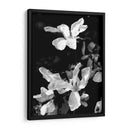 Retrato Floral Vi - Jeff Pica | Cuadro decorativo de Canvas Lab