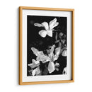 Retrato Floral Vi - Jeff Pica | Cuadro decorativo de Canvas Lab