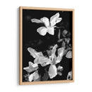 Retrato Floral Vi - Jeff Pica | Cuadro decorativo de Canvas Lab