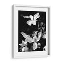Retrato Floral Vi - Jeff Pica | Cuadro decorativo de Canvas Lab