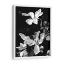 Retrato Floral Vi - Jeff Pica | Cuadro decorativo de Canvas Lab