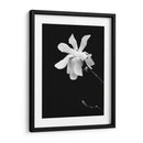 Retrato Floral Vii - Jeff Pica | Cuadro decorativo de Canvas Lab