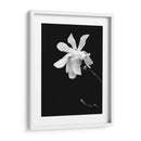 Retrato Floral Vii - Jeff Pica | Cuadro decorativo de Canvas Lab