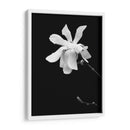 Retrato Floral Vii - Jeff Pica | Cuadro decorativo de Canvas Lab