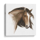Caballo Salvaje I - Grace Popp | Cuadro decorativo de Canvas Lab