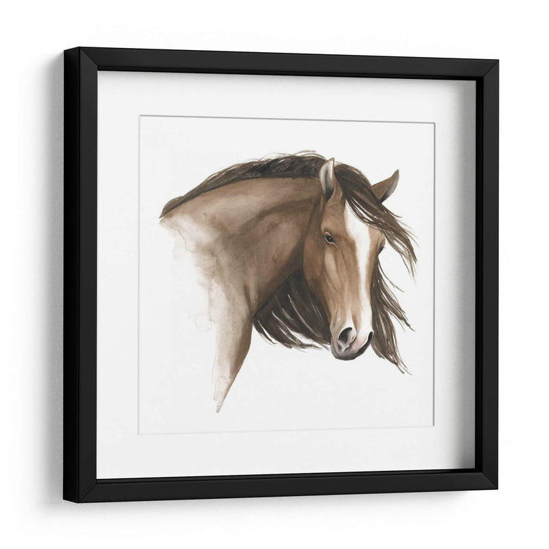 Caballo Salvaje I - Grace Popp | Cuadro decorativo de Canvas Lab