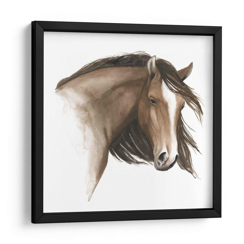 Caballo Salvaje I - Grace Popp | Cuadro decorativo de Canvas Lab