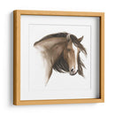 Caballo Salvaje I - Grace Popp | Cuadro decorativo de Canvas Lab