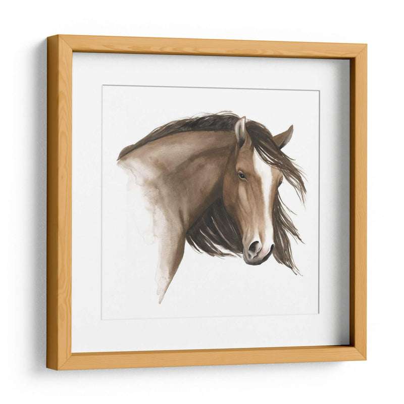 Caballo Salvaje I - Grace Popp | Cuadro decorativo de Canvas Lab