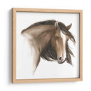 Caballo Salvaje I - Grace Popp | Cuadro decorativo de Canvas Lab