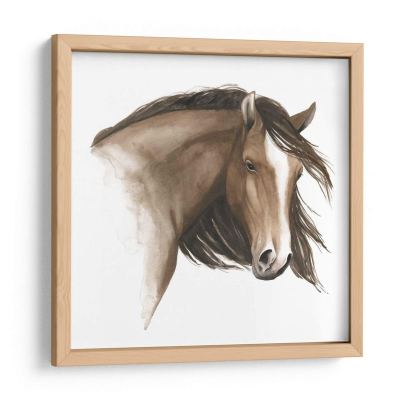Caballo Salvaje I - Grace Popp | Cuadro decorativo de Canvas Lab