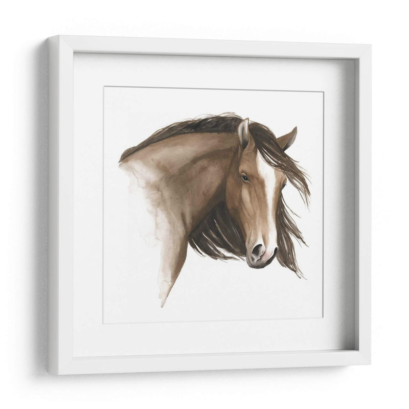 Caballo Salvaje I - Grace Popp | Cuadro decorativo de Canvas Lab