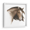 Caballo Salvaje I - Grace Popp | Cuadro decorativo de Canvas Lab