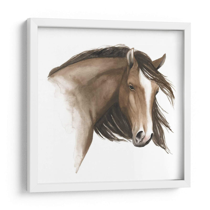 Caballo Salvaje I - Grace Popp | Cuadro decorativo de Canvas Lab