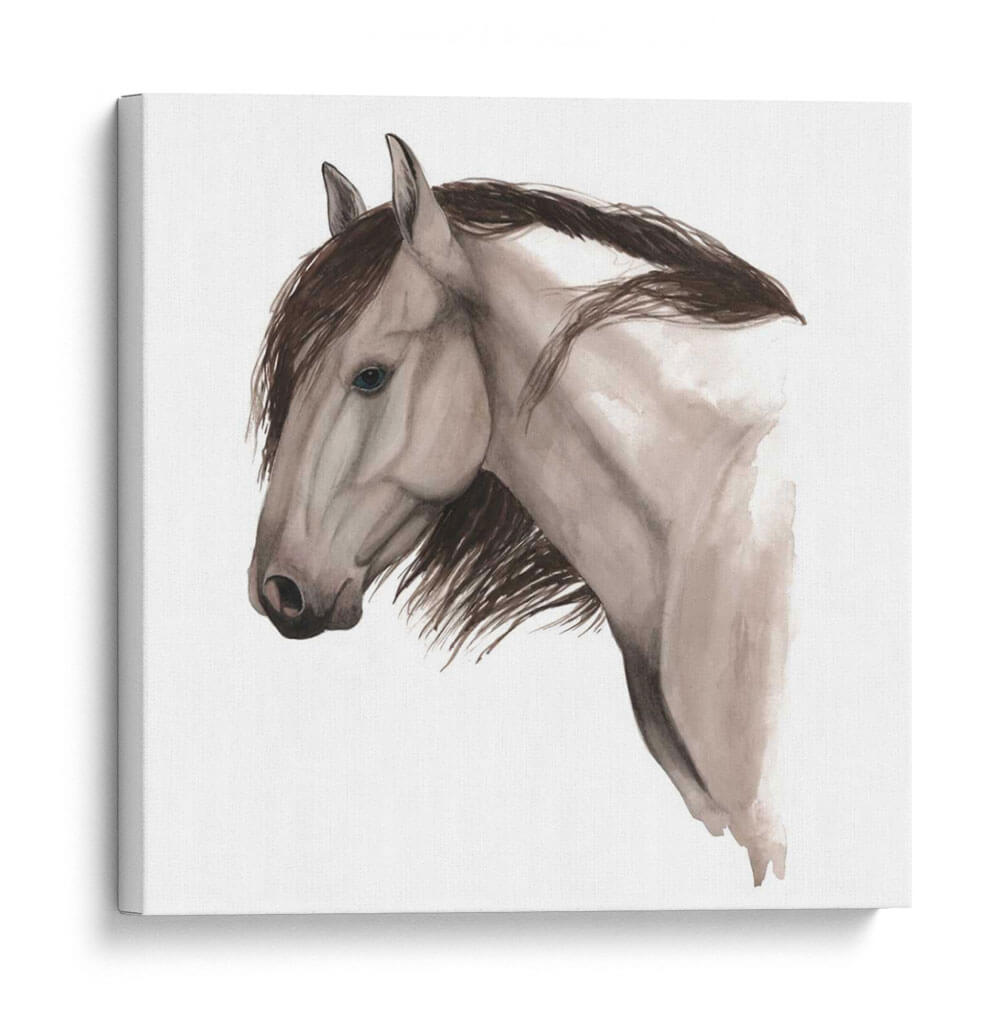 Caballo Salvaje Ii - Grace Popp | Cuadro decorativo de Canvas Lab