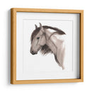 Caballo Salvaje Ii - Grace Popp | Cuadro decorativo de Canvas Lab