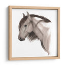 Caballo Salvaje Ii - Grace Popp | Cuadro decorativo de Canvas Lab