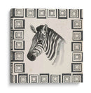 Safari Zebra Ii - Grace Popp | Cuadro decorativo de Canvas Lab